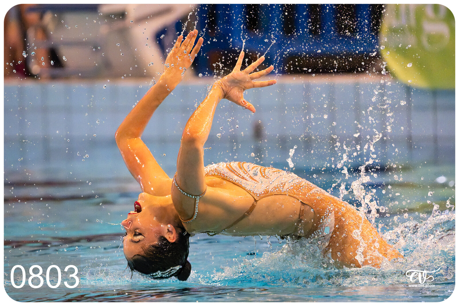 CHAMPIONNAT DE FRANCE DE NATATiON ARTISTIQUE N1 & ELITE 2026